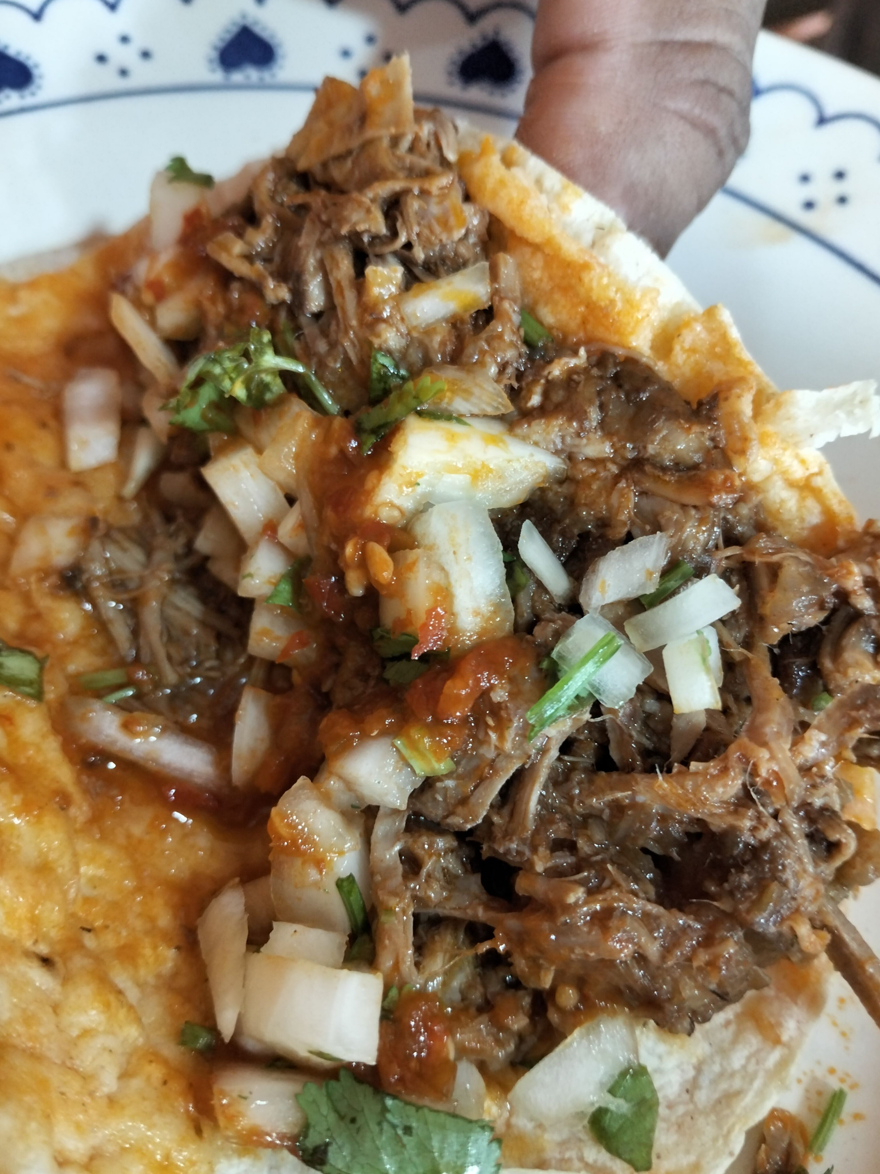 Restaurante el Mirador Birria