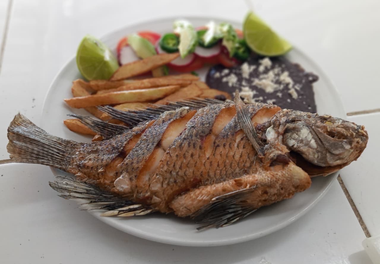 Mojarra Frita