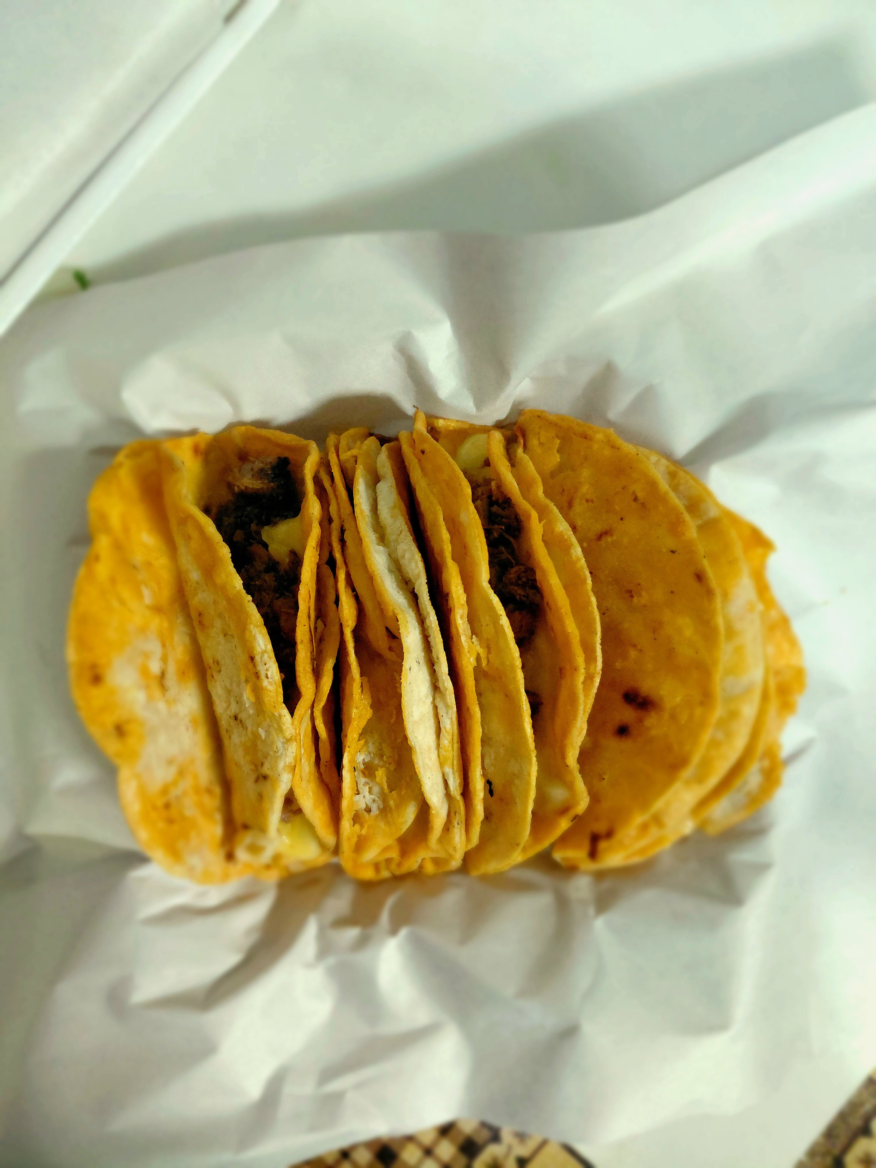 TacoBirria