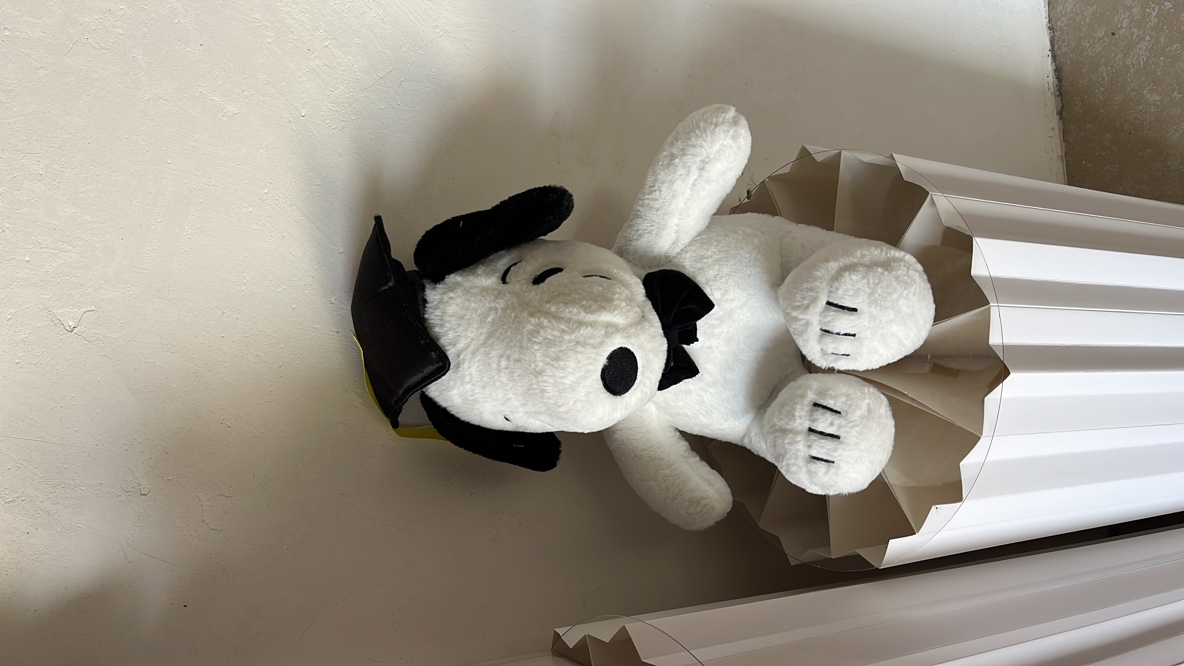Peluche de Graduación